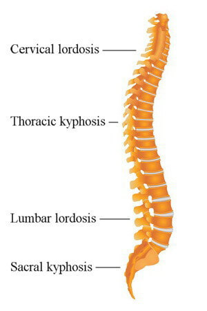 action response back pain