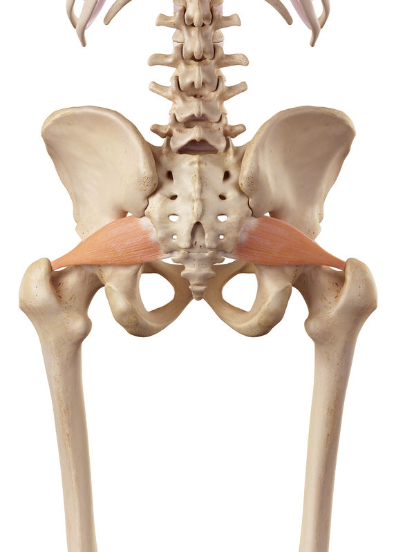 Piriformis syndrome что за болезнь