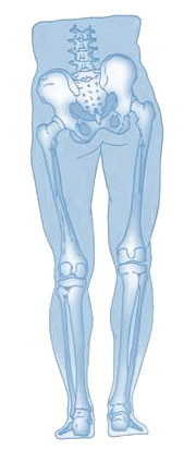 true leg length discrepancy test