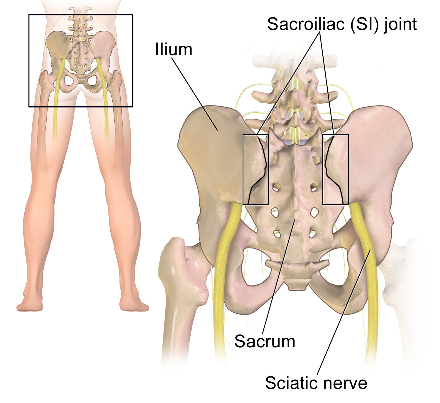 sacroiliac-joint-dysfunction